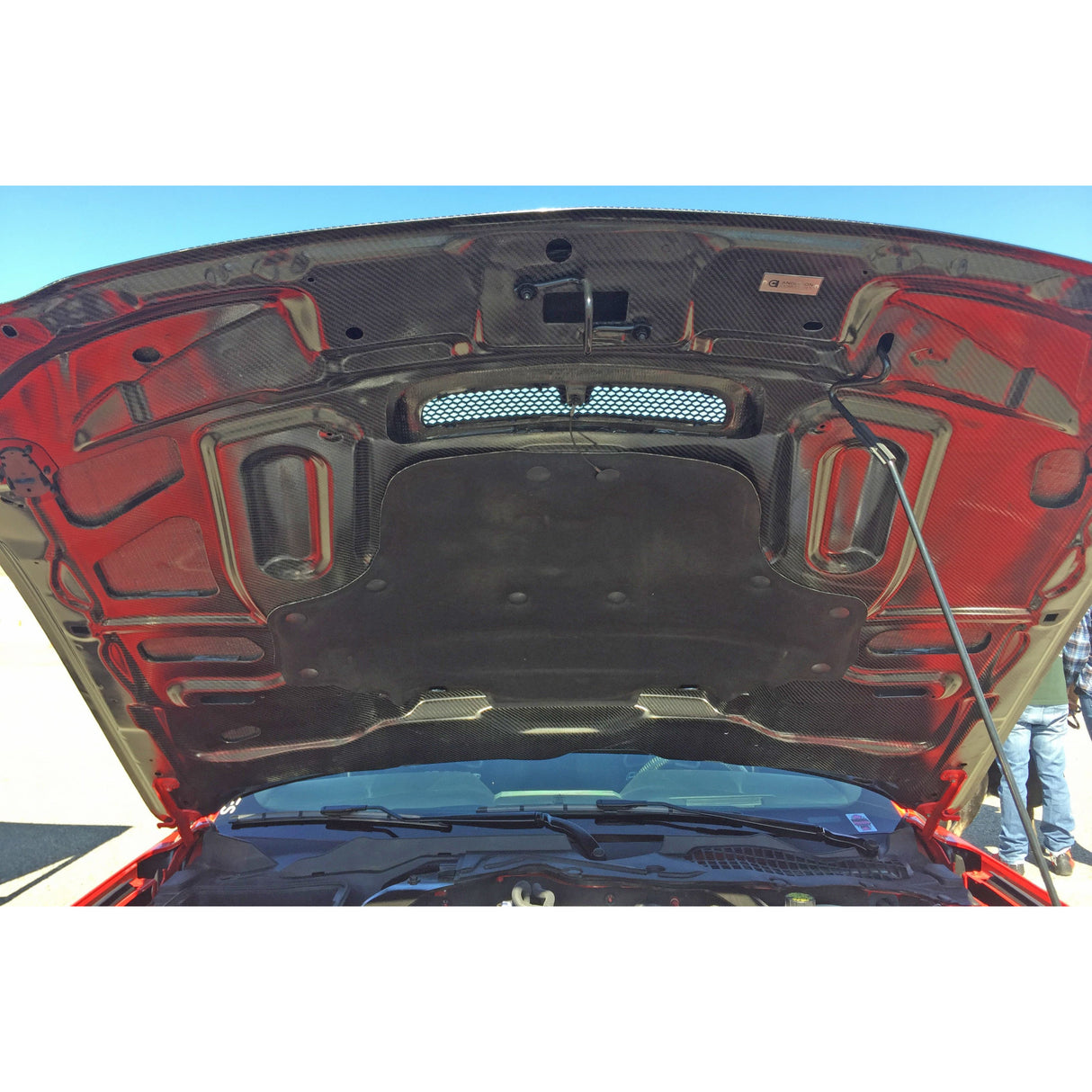 2015-2020 Ford Mustang Shelby GT350 Double Sided Carbon Fiber Hood