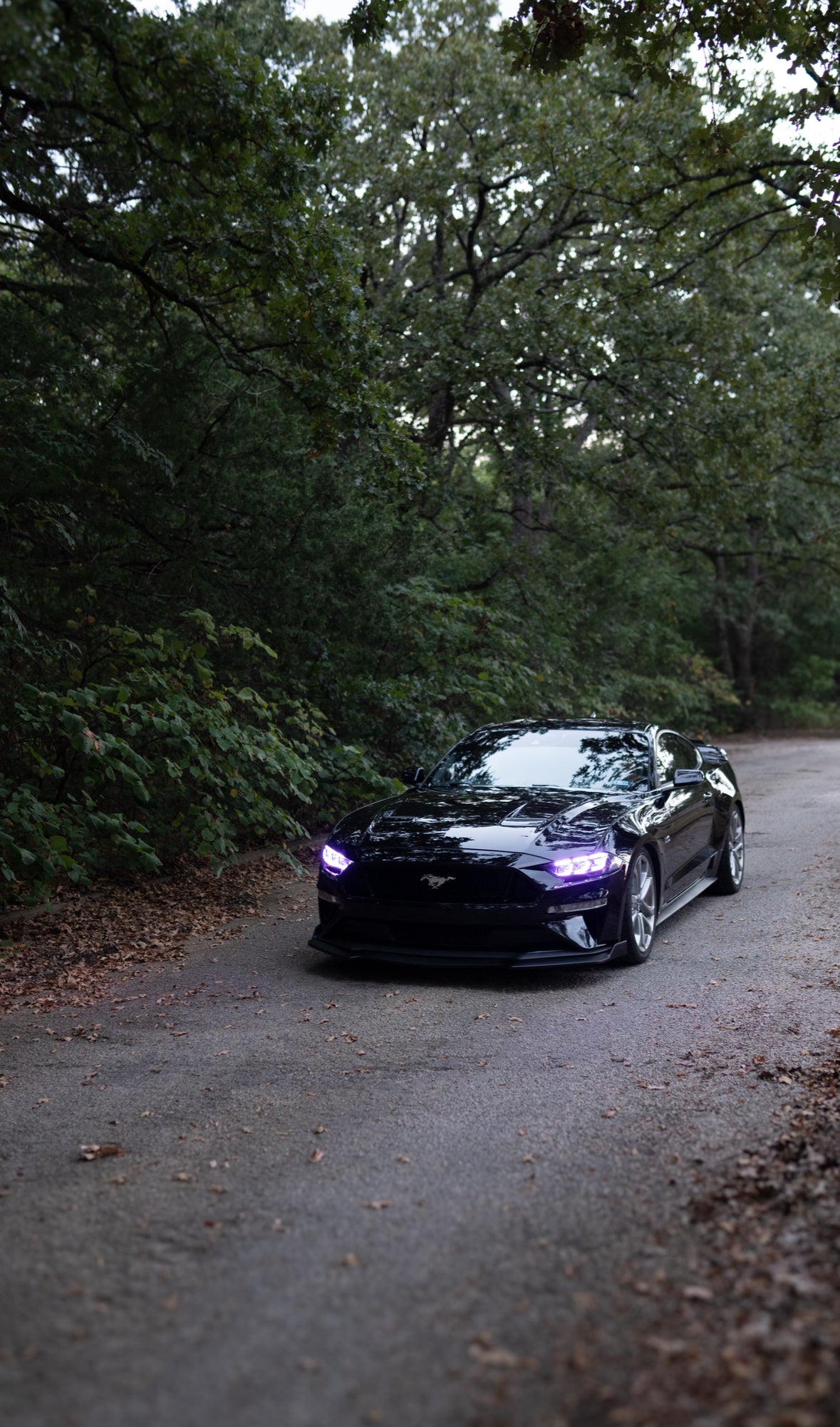 2018–2023 Ford Mustang S650 Style Headlights – Flow Series