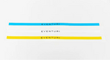 2020+ Chevrolet Corvette C8 Stingray / E-Ray Eventuri Engine Cover Vinyl Stripe
