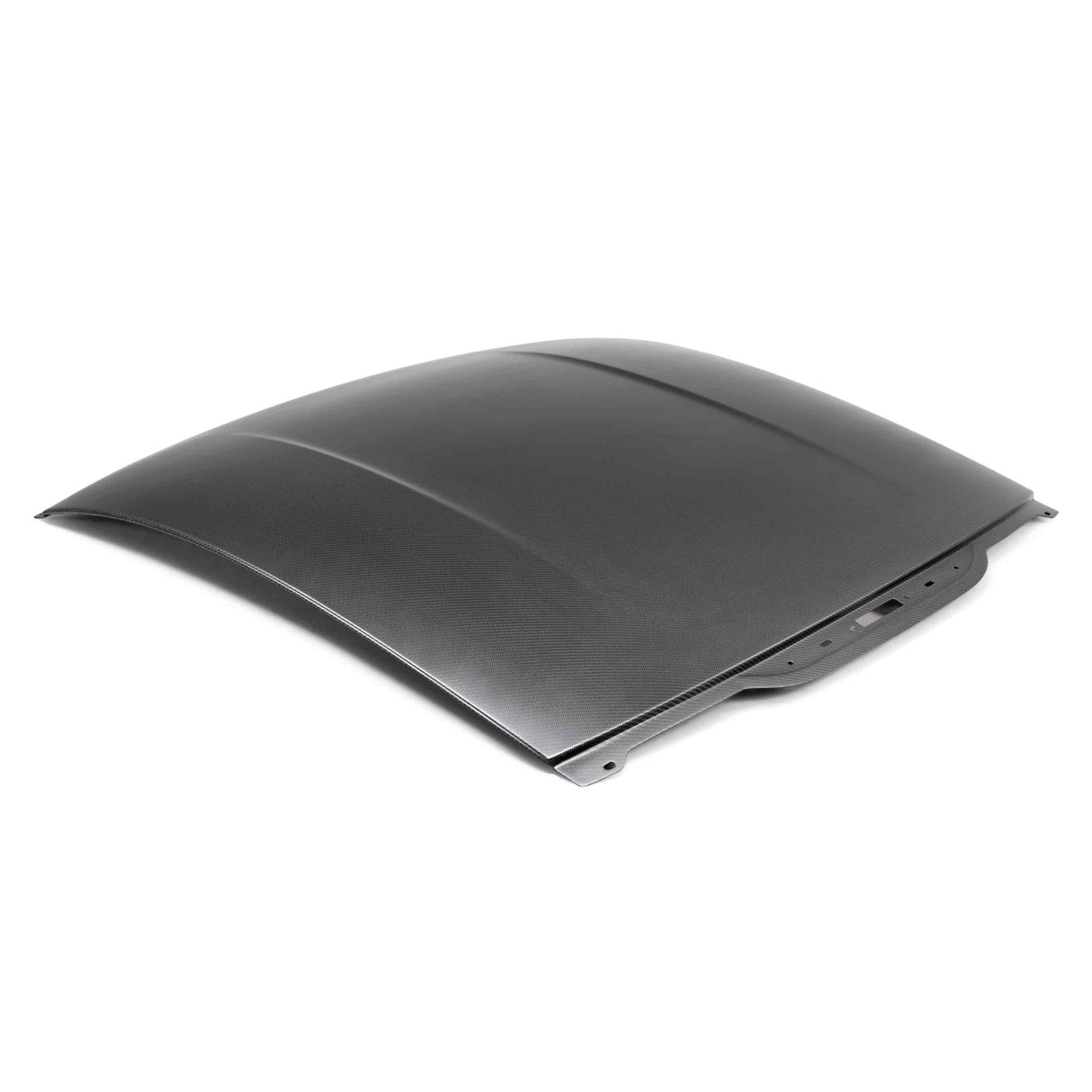 2015–2025 Ford Mustang Dry Carbon Fiber Roof Replacement