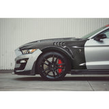 2020–2023 Ford Mustang Shelby GT500 Type-TPF Carbon Fiber Track Pack Fenders
