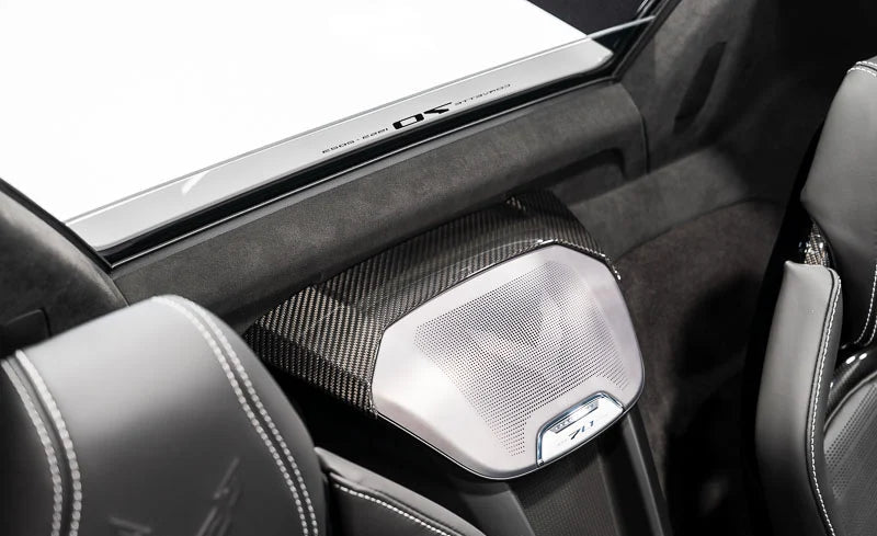 C8 Corvette Carbon Fiber Waterfall Speaker Trim Cover – HTC