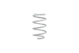 2018–2023 Ford Mustang GT Drag Launch Springs (S550)