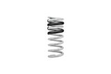 2018–2023 Ford Mustang GT Drag Launch Springs (S550)