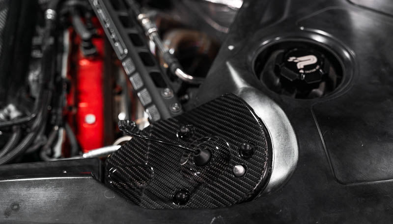 C8 Corvette Carbon Fiber Rear Strut Tower Covers